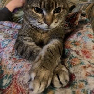 Meet your Posher, Christopher